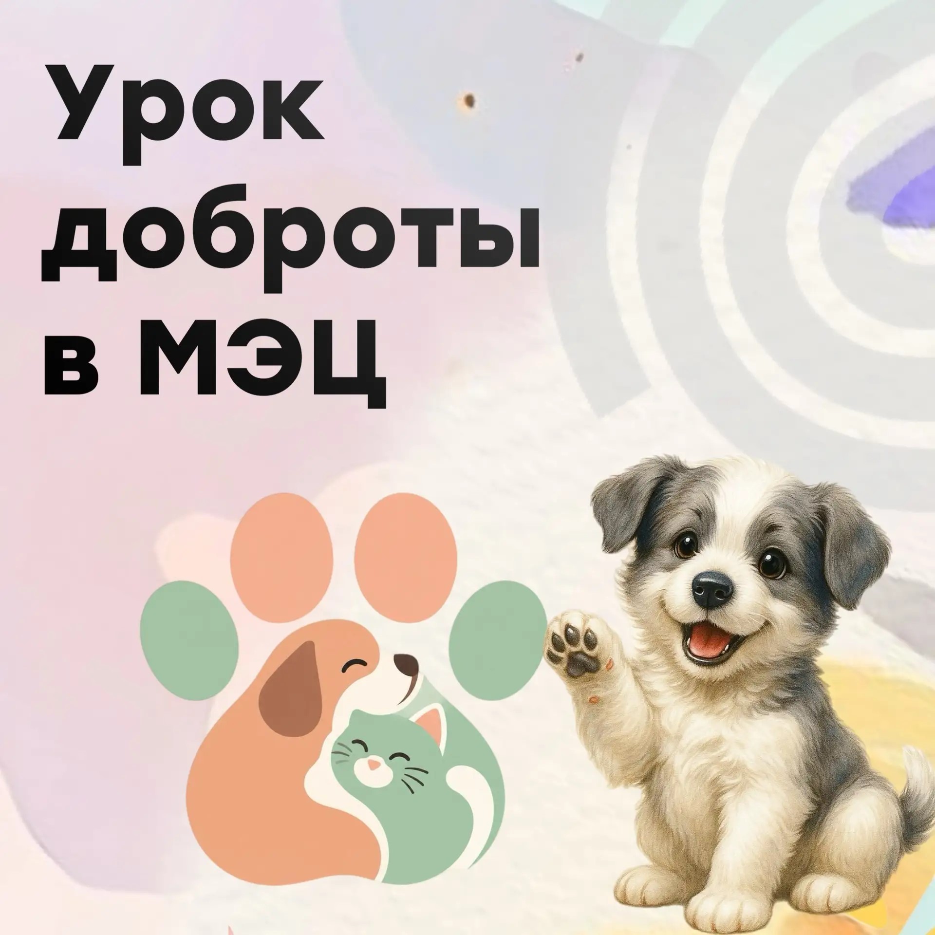 Урок доброты в МЭЦ: о тех, кто слабее нас