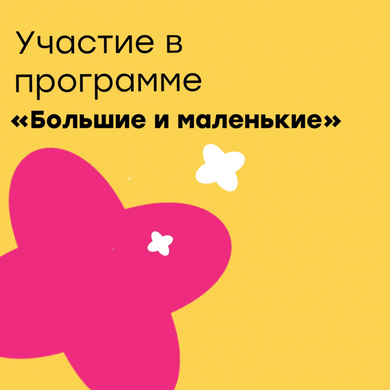Участие в проекте "Большие и маленькие"