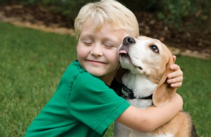 Дружба-это не работа!