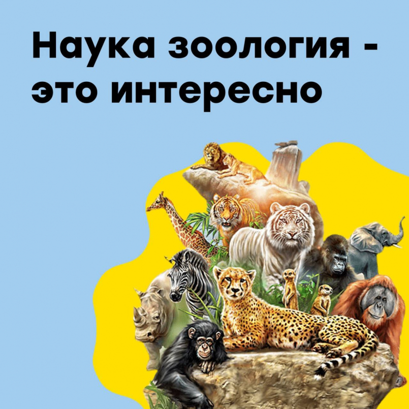 Наука зоология - это интересно