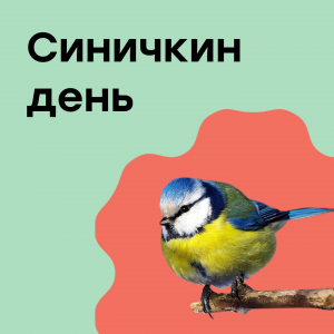 Экологический праздник – Синичкин день