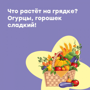 Выполняем задания, узнаем новое