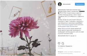 Любимая осенняя пора...