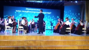 «Знакомьтесь, наш симфонический оркестр!»
