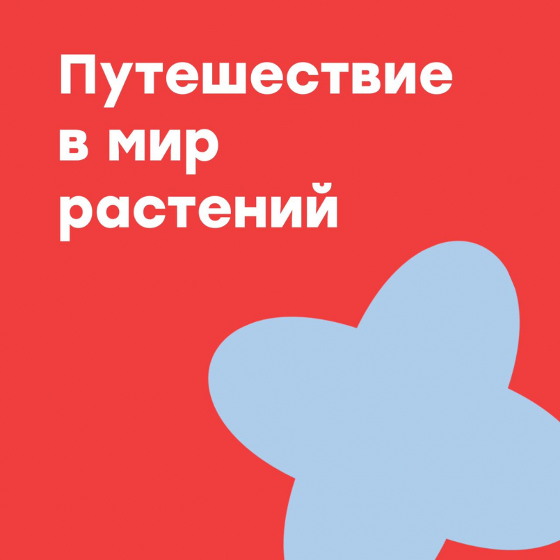 Путешествие в мир растений