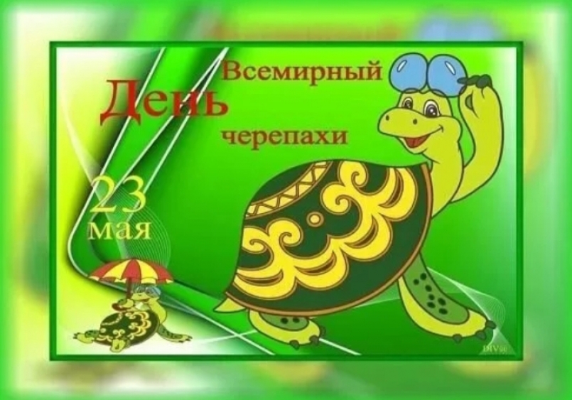 Всемирный день черепахи