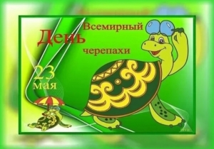 Всемирный день черепахи