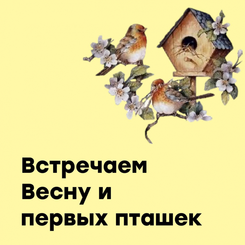 Встречаем весну и первых пташек