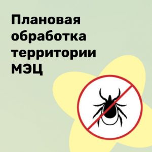 Плановая сезонная обработка территории МЭЦ от клещей