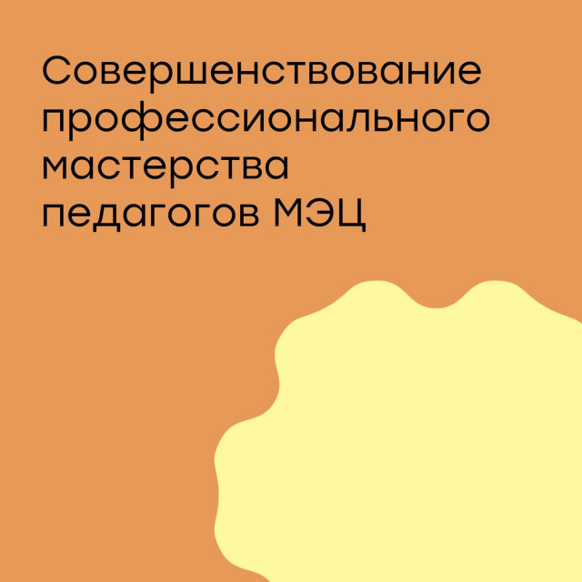 Совершенствование профессионального мастерства