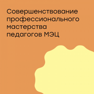 Совершенствование профессионального мастерства