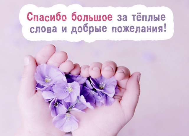 Отзывов много не бывает!