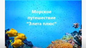 Ребята группы "Элита плюс" отправились в морское путешествие!