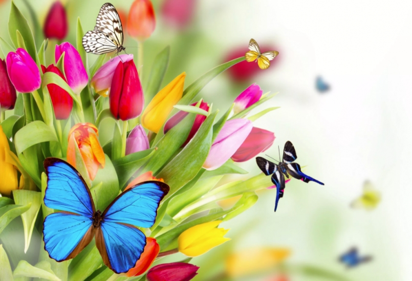 В этот чудесный праздник ...