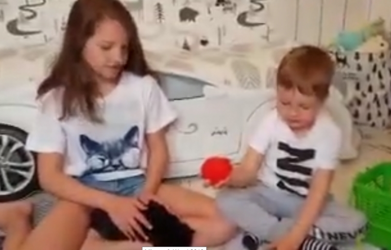 My favourite food and Pets