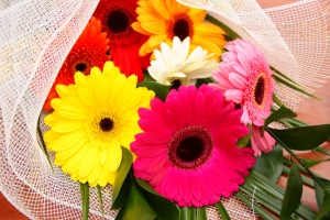 Примите слова благодарности!